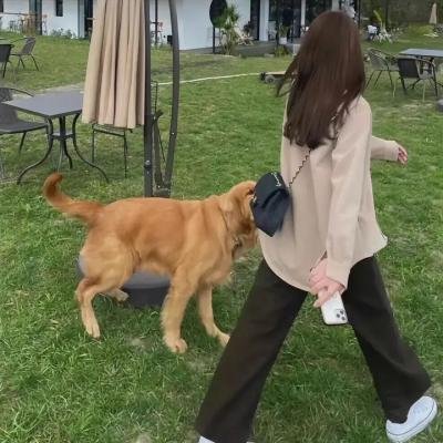夫妻英烈