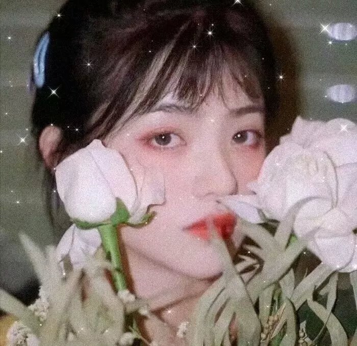 文学少女”回忆篇